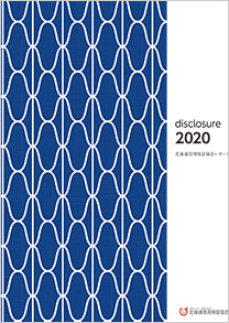 ディスクロージャー誌2020